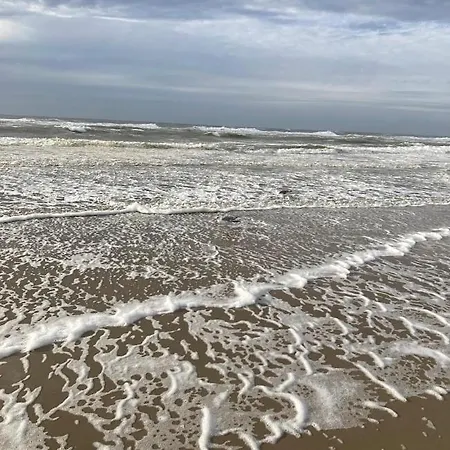 Vakantiehuis Hollandse Kust *