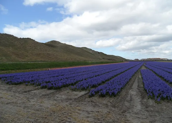 펜션 Hollandse Kust 줄리아나도르프