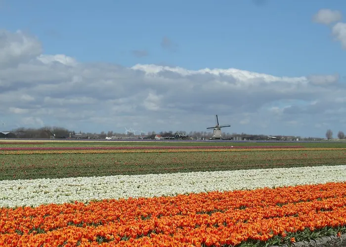 Hollandse Kust 펜션 *