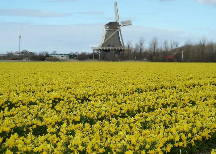 펜션 Hollandse Kust 줄리아나도르프