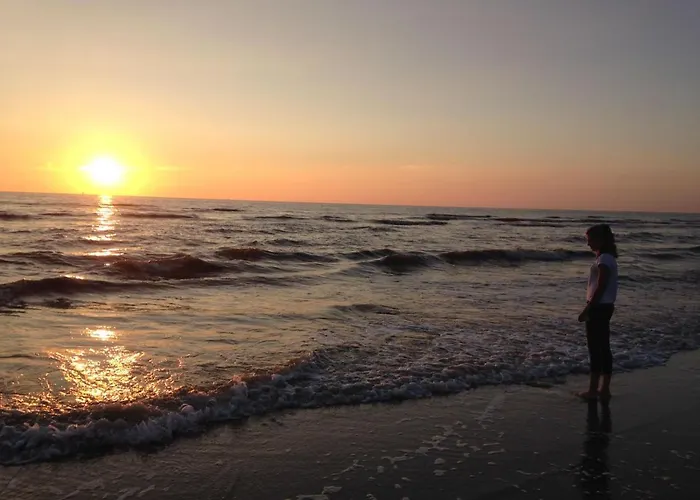 Hollandse Kust 펜션 *