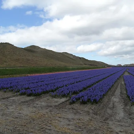 펜션 Hollandse Kust 줄리아나도르프