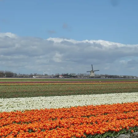 Hollandse Kust 펜션 *