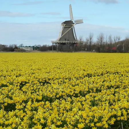 Vakantiehuis Hollandse Kust Julianadorp
